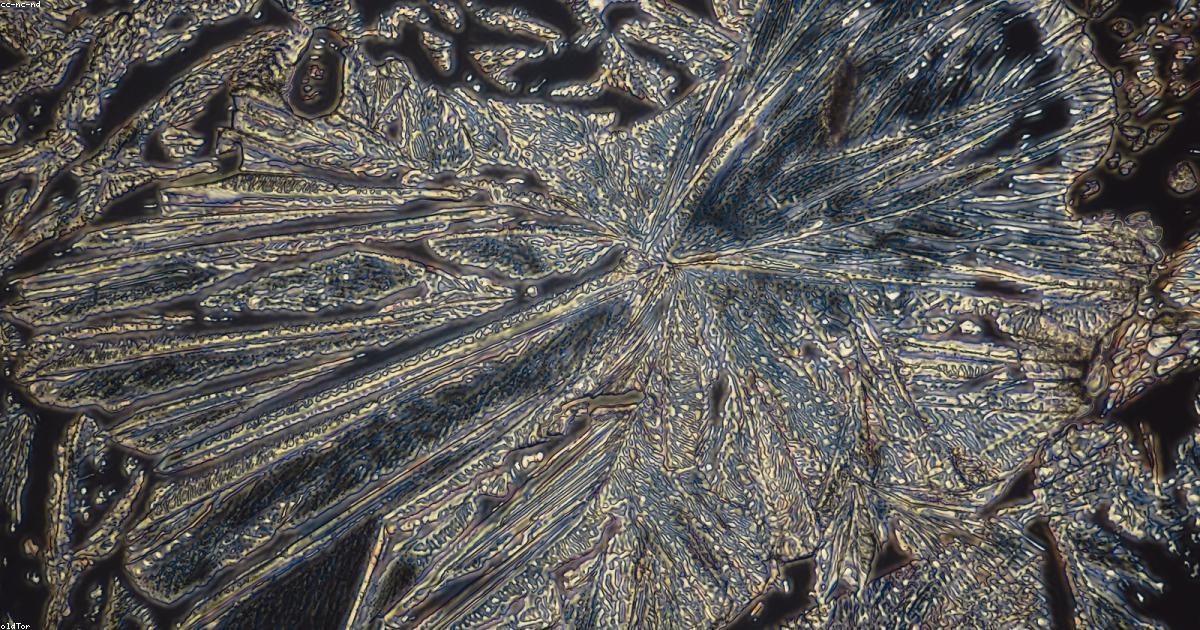 Eventi-e-Spettacoli-Live-post-image-2