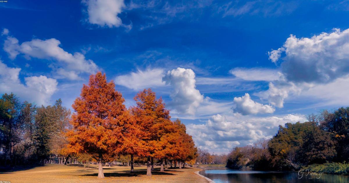 Eventi-e-Spettacoli-Live-post-image-21