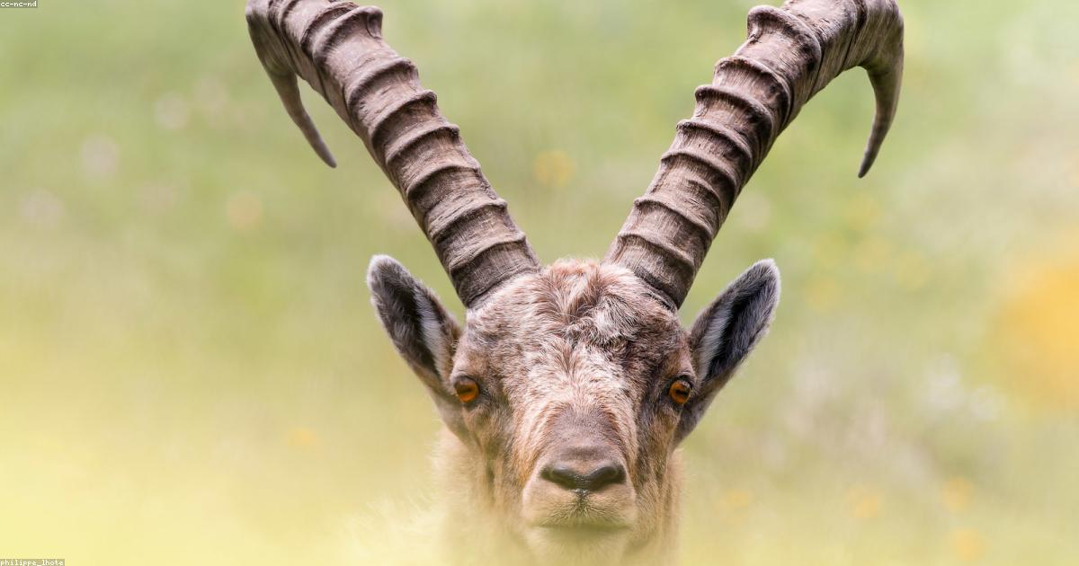 Eventi-e-Spettacoli-Live-post-image-26