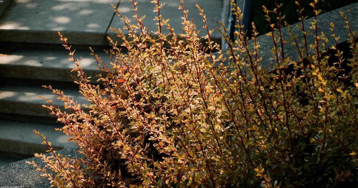 Eventi-e-Spettacoli-Live-post-image-44