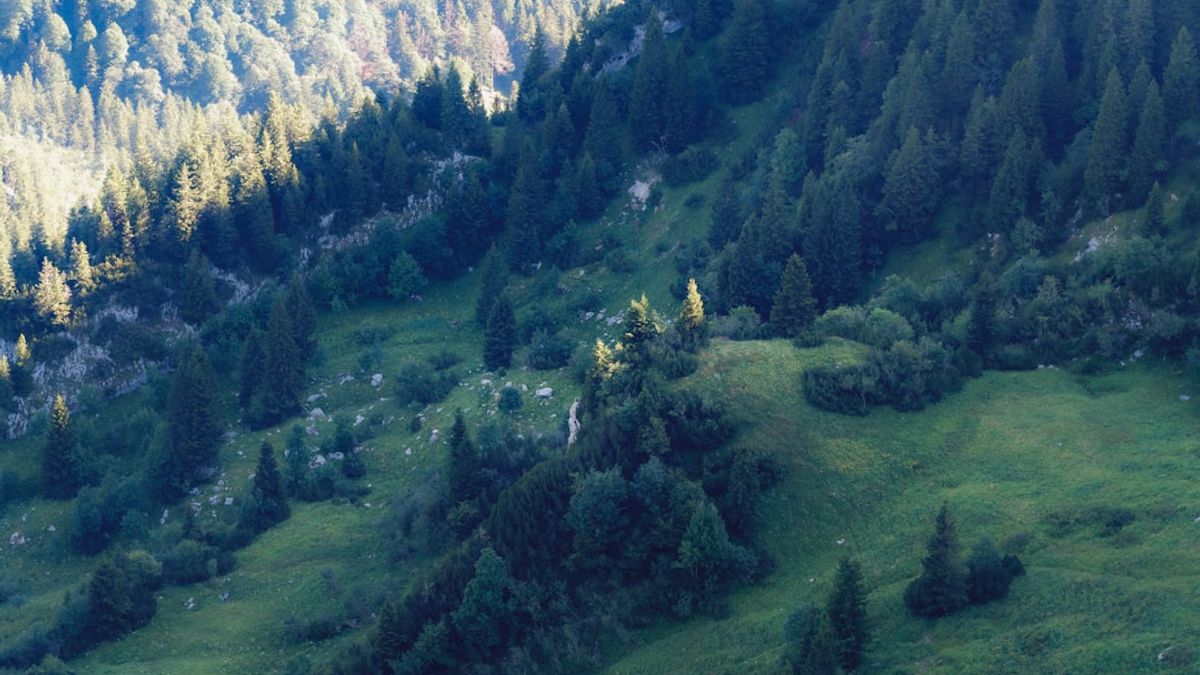 Dolomites nature festival – festival sensoriali immersivi