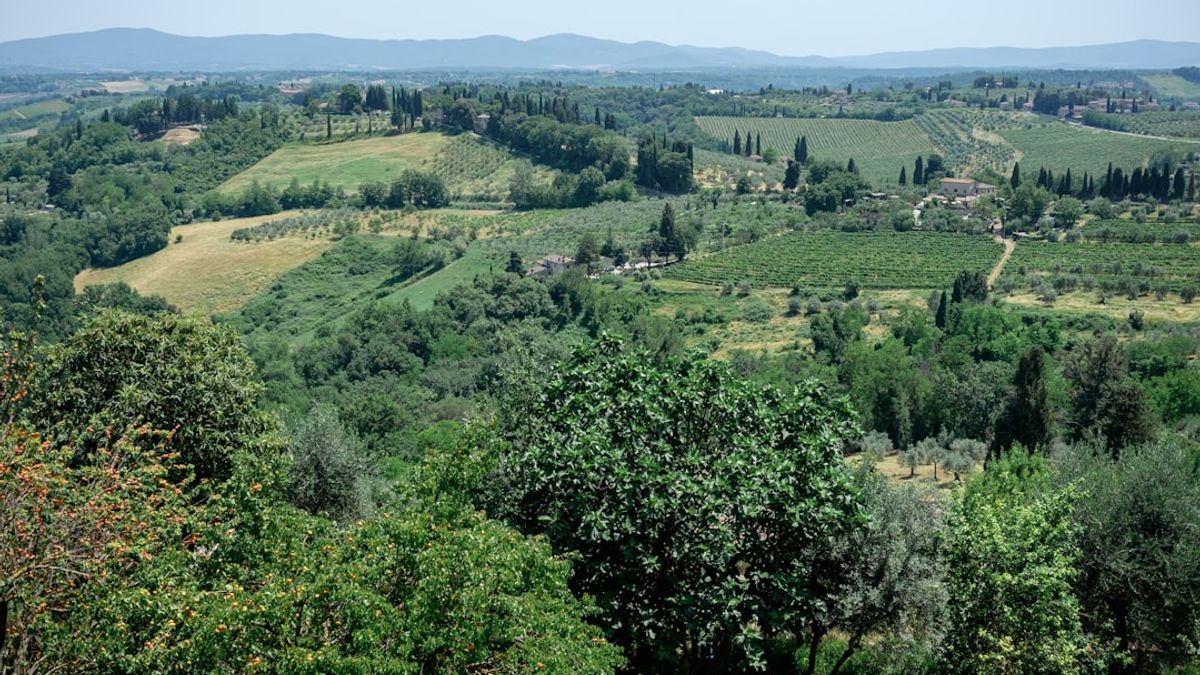 Tuscany festival – festival di narrazione interattiva