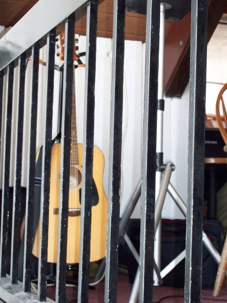 acoustic guitar (foto: EgorovaSvetlana / CC BY-SA 4.0, Wikimedia Commons)