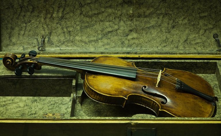 violin instrument (foto: Jorge Royan / CC BY-SA 3.0, Wikimedia Commons)