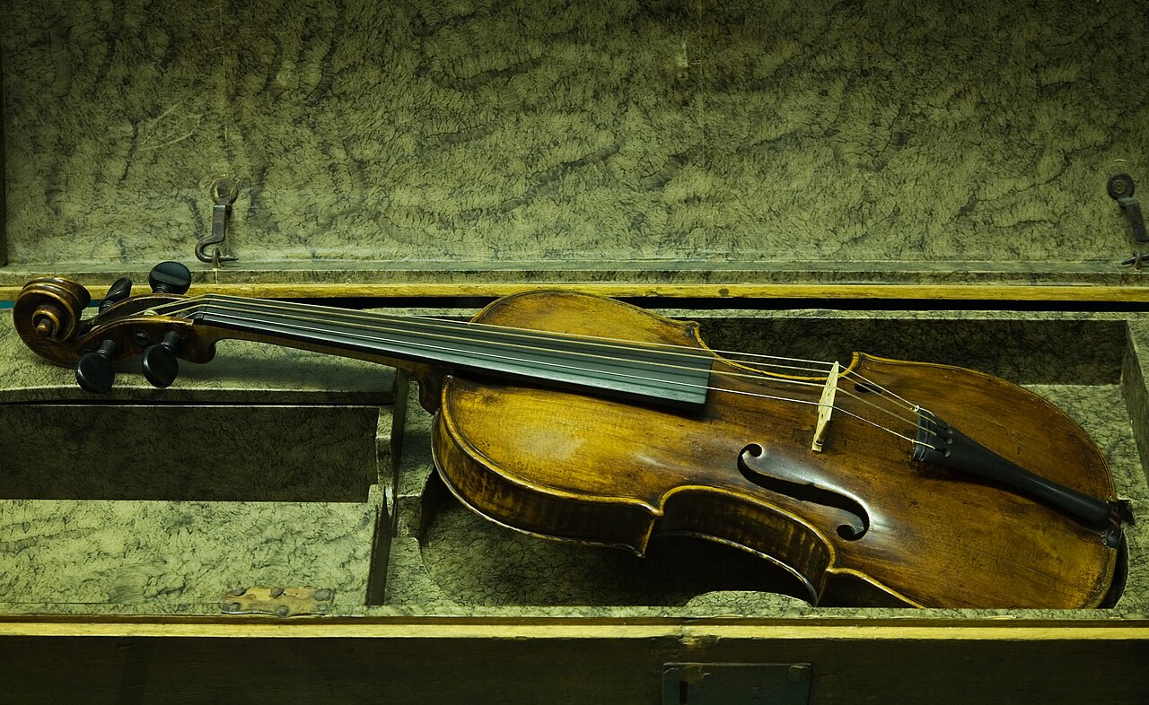 violin instrument (foto: Jorge Royan / CC BY-SA 3.0, Wikimedia Commons)