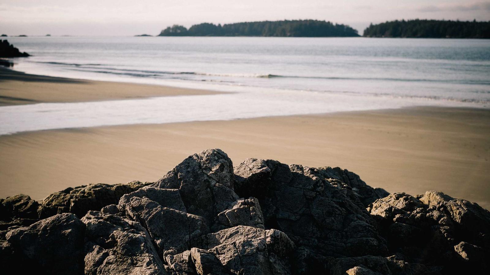 A violinist sitting in a sunlit practice room with sheet music open on a wooden stand, mid-bow stroke on the violin, with a metronome and a notebook of practice notes on a small side table.