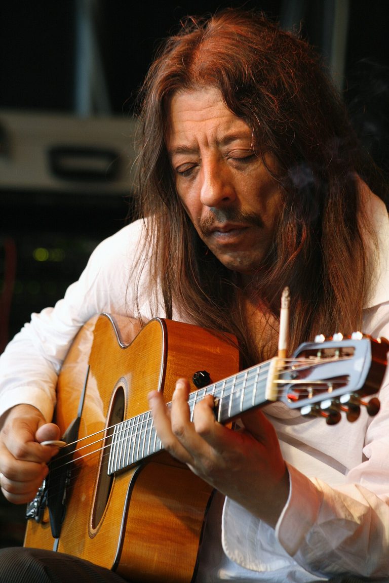 acoustic guitar (foto: Manfred Werner - Tsui / CC BY-SA 3.0, Wikimedia Commons)