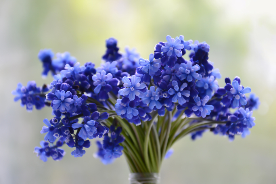 Mazzo di fiori avvolto nella carta appoggiato su un tavolino dietro le quinte