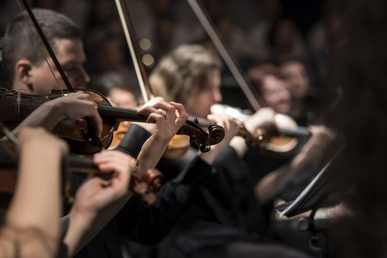 Concerti di musica classica: l’eleganza del suono dal vivo