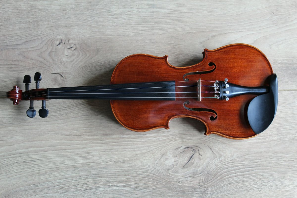 Imparare il Violino da Adulti: Sfida Possibile e Gratificante