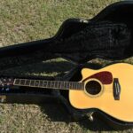 guitar case open