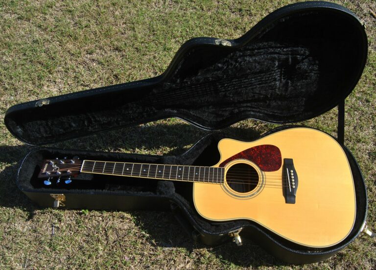guitar case open