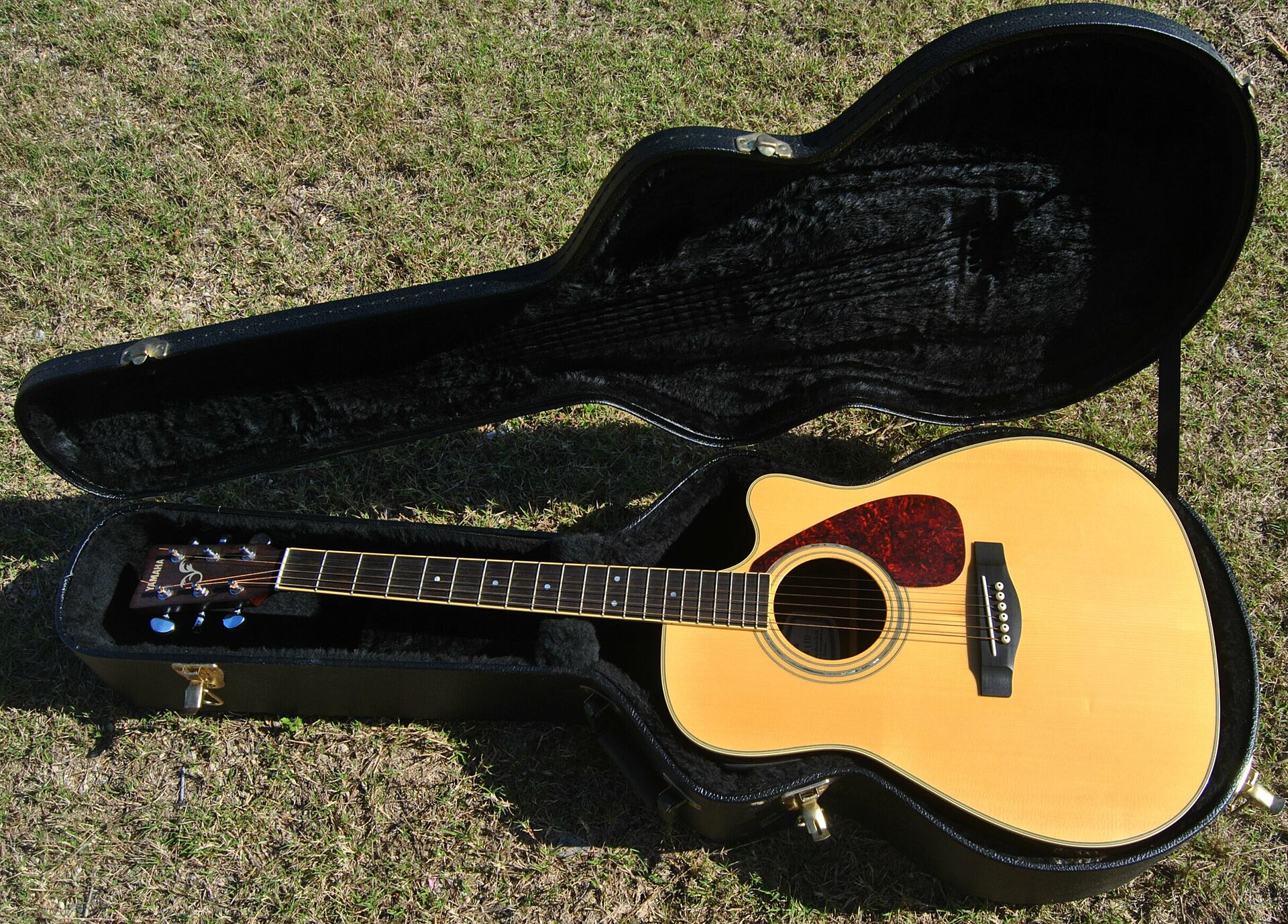 guitar case open