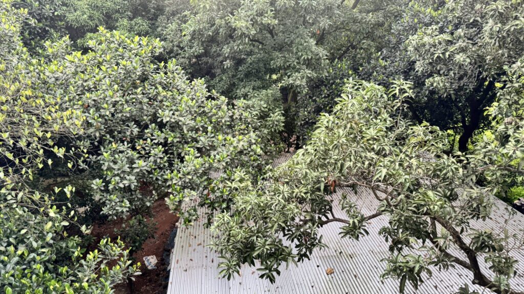 Copertura in lamiera ondulata vista dal basso con travi in acciaio e lucernari