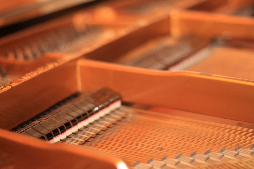 Interno di un pianoforte con corde, caviglie e telaio visti dall'alto a coperchio aperto
